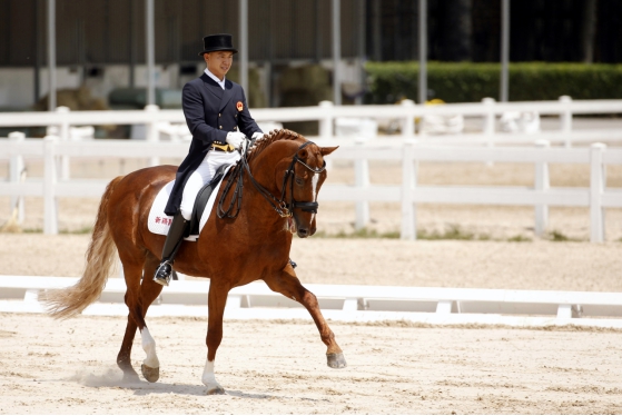 新疆运动员兰超获杭州亚运会马术盛装舞步组参赛资格